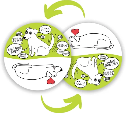 Imán de Feed The Dog - Recordatorio gótico de comida para perros para amantes de las mascotas, decoración peculiar del hogar y la oficina, regalo