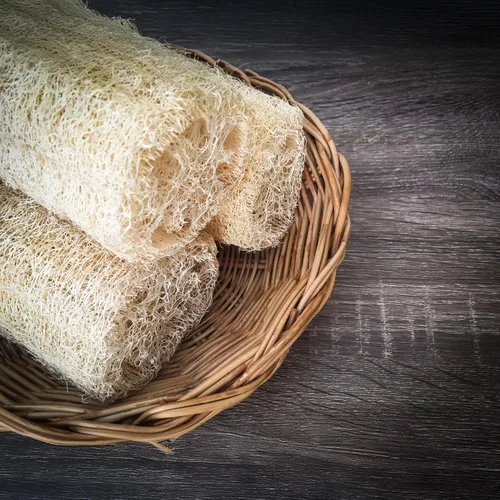 Miniatura 2 de Park Seed Luffa - Semillas de calabaza – Planta de esponja de lufa sin OMG para exfoliación natural de la piel, limpieza de platos y uso culinario