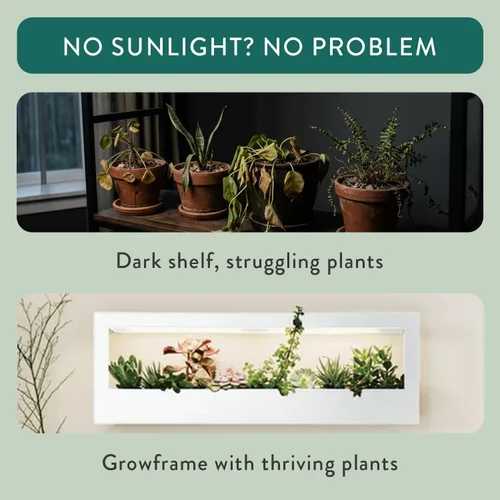 Miniatura 5 de Modern Sprout Smart Landscape Growframe - Soporte para plantas montado en la pared con luz LED de cultivo - Control inteligente por aplicación