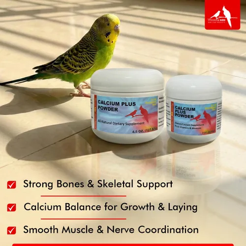 Miniatura 6 de Morning Bird Calcio Plus Polvo para Aves 2 oz – Suplemento de calcio con vitaminas y minerales esenciales – Apoya la salud ósea, la función muscular