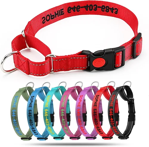 Miniatura 2 de Collar de martingala personalizado para perro - Collares de martingala reflectantes con hebilla, collares de martingala personalizados