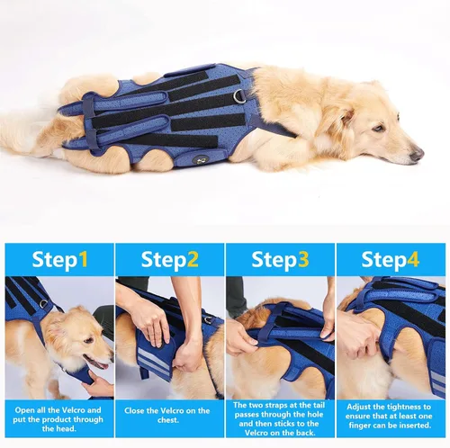 Miniatura 8 de Coodeo Soporte de espalda para perros para artritis, soporte de espalda para mascotas para IVDD, protector de espalda ayuda a aliviar el dolor, Azul