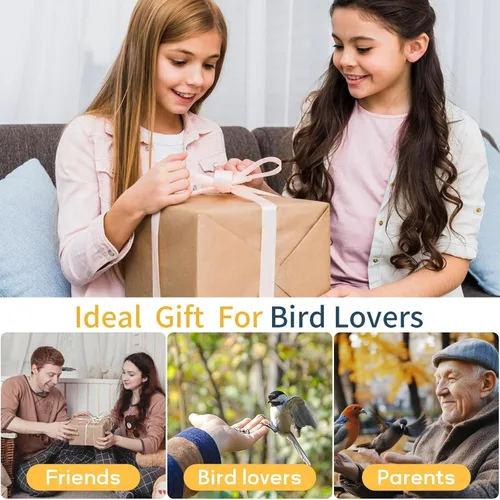 Miniatura 8 de Comedero para pájaros con cámara, cámara de comedero inteligente WiFi para exteriores con reconocimiento de aves AI incorporado, energía solar