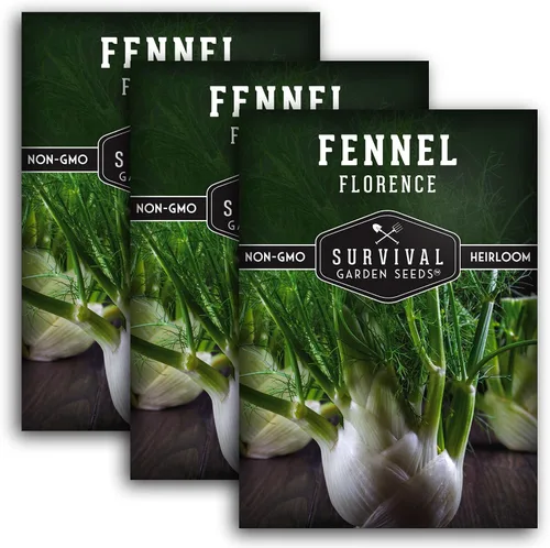 Miniatura 11 de Semilla de hinojo para plantar – 1 paquete con instrucciones para cultivar hinojo de Florencia (Finnochio) en el huerto de tu hogar – Variedad