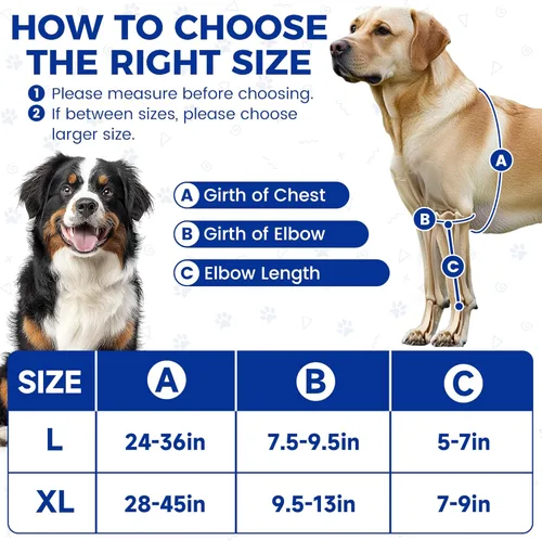 Miniatura 5 de Codera para perro con paquete de gel caliente/frío, soportes ajustables para piernas de perro, soporte de hombro delantero para perro, coderas