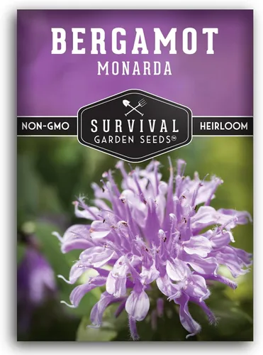 Miniatura 10 de Survival Garden Seeds - Semilla de hierba de bergamota (bálsamo de abeja) para plantar - 3 paquetes con instrucciones para plantar y cultivar flores