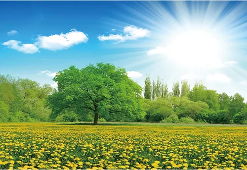 Miniatura 5 de Telón de fondo de primavera de 5 x 3 pies, cielo azul, nubes blancas, flores, fondo de fotografía de jardín para retratos de niños y adultos, fiesta