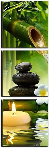TAOMI Lienzo de bambú de piedra zen para spa, meditación, sala de yoga, arte de pared, arte de pared de plantas verdes naturales para sala de estar,