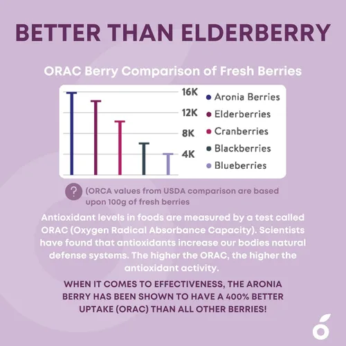 Miniatura 8 de Aronia SuperBerry - Gomitas de apoyo inmunológico diario, ricas en antioxidantes, mejor que la baya del saúco, gran sabor a bayas naturales, 60