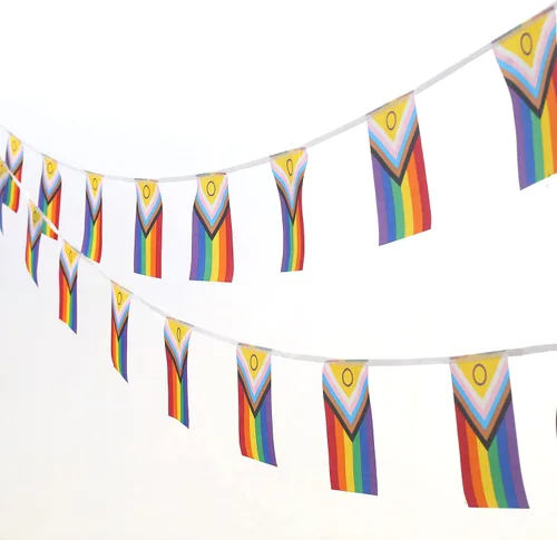 Kind Girl Bandera del orgullo arcoíris, 100 pies/76 piezas triangulares de poliéster decoración de festivales, banderines banderines, suministros de