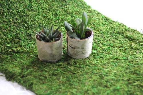 Miniatura 22 de Alfombra y tapetes de musgo preservado (12 pulgadas x 6 pies)