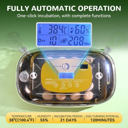 Miniatura 5 de Incubadora de 24 huevos con girador automático, asiento de termómetro y control de humedad, perfecta para incubar pollo, incluye vela de huevos