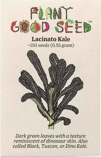 Miniatura 6 de Plant Good Seed Black Magic Lacinato - Semillas de col rizada, paquete de 150, semillas tradicionales para plantar verduras, suministros