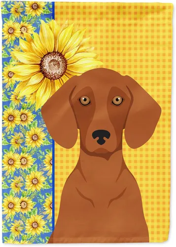 Miniatura 329 de Caroline's Treasures WDK5331CHF - Bandera de verano con diseño de girasoles rojos y blancos, manga grande, para porche, para colgar en la pared