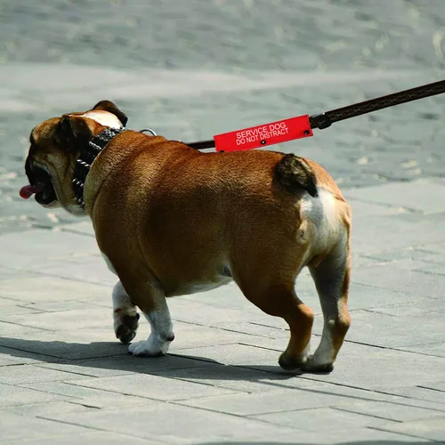 Miniatura 6 de Funda de correa para perro de servicio, no distraiga, etiqueta de parche de identificación de alerta, regalo para mascotas