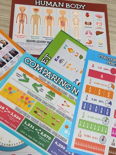 Miniatura 8 de Flora Maria Shop Juego de 33 pósteres educativos para niños de 1 a 3 años – 66 opciones de aprendizaje para niños de 3 a 5 años – Decoración