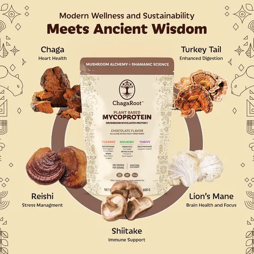 Miniatura 4 de Mycoprotein Mushroom Protein Powder, Chocolate Flavor, 20g Plant Based Protein per Serving, Reishi, Chaga, Lions Mane, Shiitake, Turkey Tail, Vegan