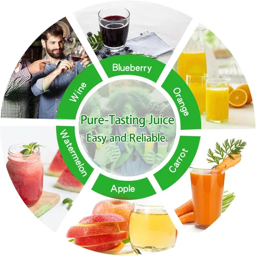 Miniatura 4 de Prensa de Vino de Frutas Verdes 2.38 Gal - Asa en T resistente y viga transversal, exprimidor de acero inoxidable para manzana, uva, elaboración