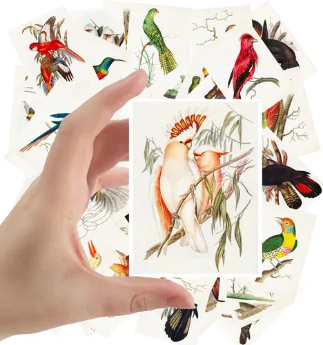 Miniatura 22 de Calcomanías grandes, 24 piezas (2.5 x 3.5 pulgadas cada una) pájaros, mariposas y flores, libro botánico antiguo, ilustración, postales vintage, Ocho