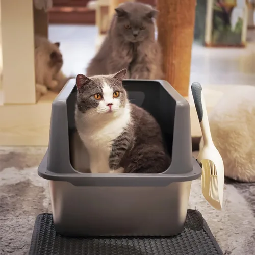 Miniatura 2 de Caja de arena para gatos de acero inoxidable, bandeja de arena de metal cubierta, bandejas de arena para gatos con lados altos, caja de arena