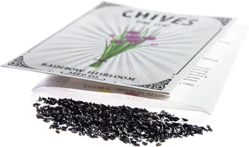 Miniatura 5 de Semillas de cebollino para plantar Variedad de hojas finas (paquete de 0.04 oz - aproximadamente 250 semillas) Semillas sin OMG y reliquia