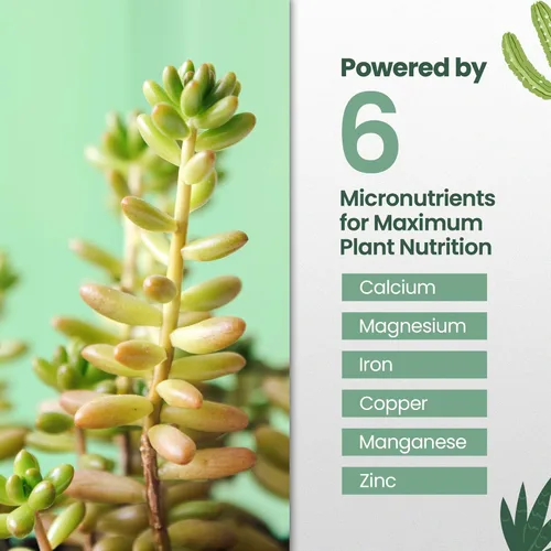 Miniatura 4 de Fertilizante para suculentas de 16 onzas, hace que 32 galones de alimento para plantas suculentas vivas, fertilizante líquido para suculentas