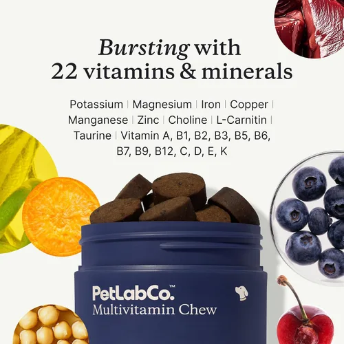 Miniatura 4 de PetLab Co. Multivitamínico para perros 22 en 1 - Apoyo a la respuesta inmune del perro, piel, pelaje, articulaciones y salud general - Vitaminas A