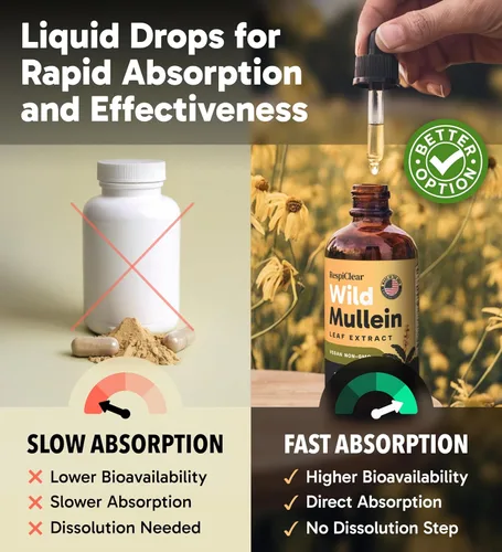Miniatura 5 de Gotas de gordolobo totalmente naturales con jengibre y limón para limpieza y desintoxicación pulmonar, extracto de hoja de gordolobo para la salud