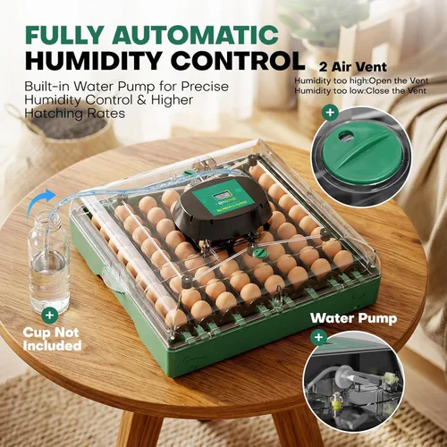 Miniatura 6 de Incubadoras para incubar huevos, incubadora de 72 huevos con girador automático de huevos y control de humedad y temperatura digital, visión clara