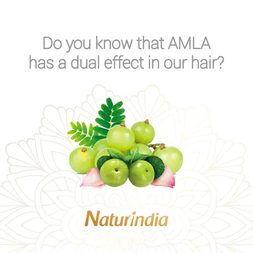 Miniatura 9 de Champú orgánico ayurvédico para el crecimiento del cabello Amla Indian Vitalize Formula para cabello brillante y fuerte con vitamina C y hierbas