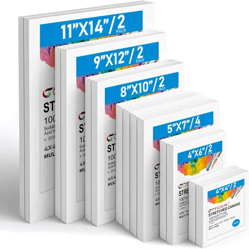 Gotideal Lienzo para pintura, paquete de 14 unidades, lienzo de pintura estirado, lienzos de pintura en blanco para acrílico, óleo, suministros de