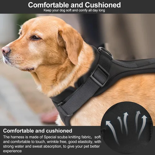 Miniatura 4 de Wisedog Arnés Ligero Sin Tirones para Perro: Arnés de Chaleco de Malla Transpirable Ajustable para Mascotas con Cojín Suave y Cómodo, para Perros