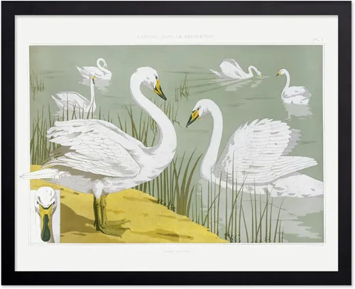 Miniatura 90 de Poster Master Vintage James Audubon Póster - Impresión Retro de Cuervo - Arte de Aves de América - Arte de Aves - Regalo para Hombres, Mujeres