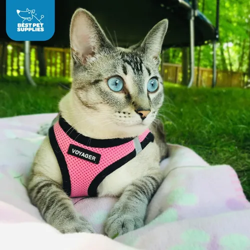 Miniatura 10 de Best Pet Supplies - Arnés de malla para perros, apto para todo tipo de clima; arnés tipo chaleco fácil de poner, para perros pequeños y medianos.