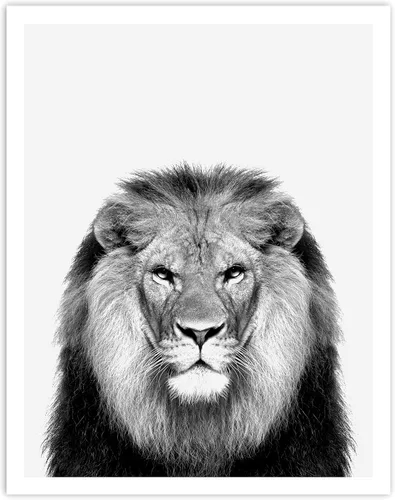 Miniatura 6 de 4 Piece Safari Zoo Animal Nursery Set, Neutral Wall Decor, Kids Bedroom, Children's Room Animal Print Collage 4 Piece Set, 11 x 14 inches each