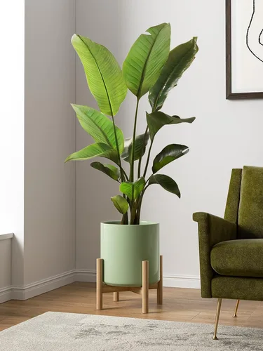 Miniatura 2 de LE TAUCI Maceta de 12 pulgadas para plantas, macetas de cerámica para plantas de interior, macetas cilíndricas modernas de mediados de siglo