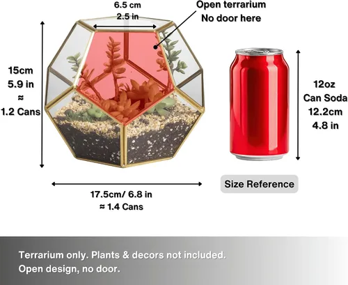 Miniatura 3 de Terrario geométrico de vidrio en dodecaedro y pentágono transparente, con planta suculenta para terrario, Geométrico, Transparente