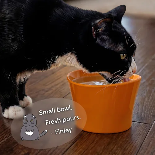 Miniatura 6 de Cuencos elevados para agua para gatos – Cuenco elevado para gatos de interior – Platos para gatos poco profundos con bigotes y cuello – Altura