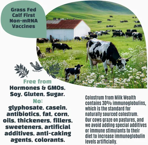 Miniatura 7 de Milk Wealth™ Polvo de calostro bovino 1.76 oz IgG natural y liofilizado Apoyo para la salud inmune e intestinal Alimentado con pasto y sin