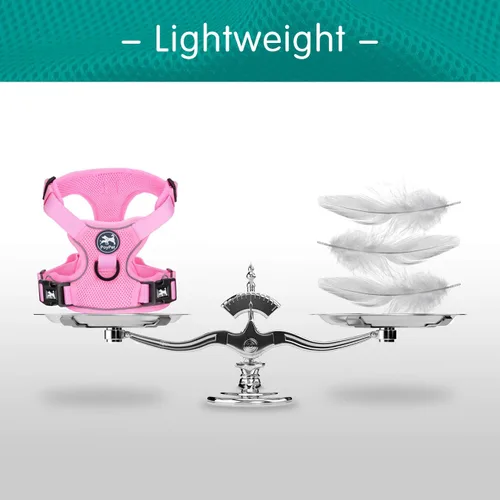 Miniatura 5 de PoyPet chaleco reflectante de malla suave transpirable para perro sin estrangulamiento doble acolchado con cuello y pecho ajustables Rosa claro