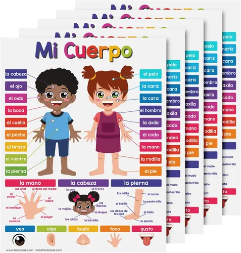 Miniatura 7 de El Alfabeto - Carteles educativos en español para niños, alfabeto, bilingüe, aprendizaje en el aula y en casa, ayuda visual y decoraciones