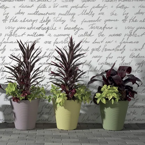 Miniatura 3 de Crescent Garden Madison Planter– Maceta resistente a la intemperie, doble pared para interiores y exteriores con orificio de drenaje, contenedor
