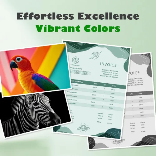 Miniatura 4 de PG-245XL - Cartuchos de tinta negra compatibles con Canon Ink 245 XL, repuesto para 245 tinta negra, funciona con impresora PIXMA MG2420 MG2520
