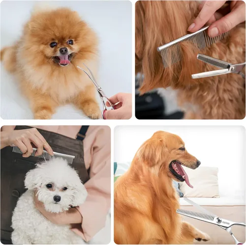 Miniatura 7 de Tijeras de aseo para perros con puntas redondas de seguridad de acero inoxidable, kit profesional de aseo para perros, tijeras adelgazantes, curvas