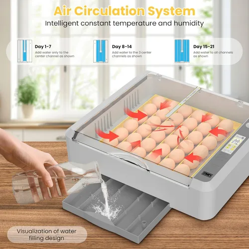 Miniatura 4 de Incubadora de huevos de 36-60 con giro automático de huevos y control de humedad, incubadora de huevos de pollo ajustable con pantalla digital