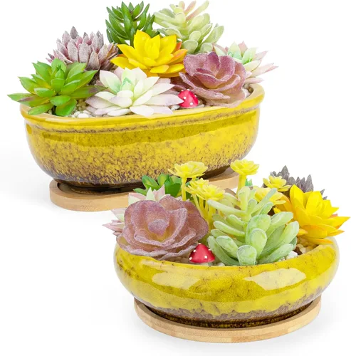 Miniatura 8 de Macetas para suculentas, 1 maceta rectangular + 1 maceta de cerámica para bonsái con bandeja de drenaje, paquete de 2 macetas grandes y poco