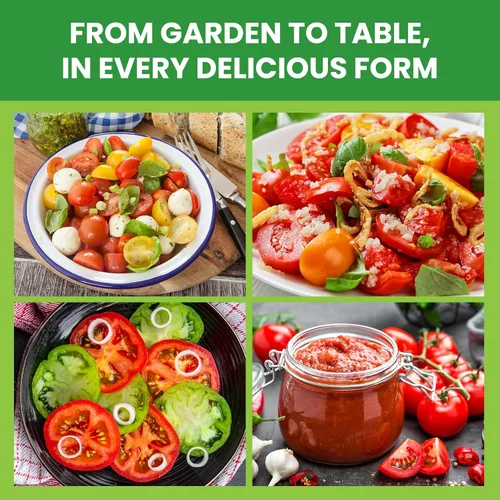 Miniatura 8 de Paquete variado de 10 semillas de tomate, más de 5000 semillas de tomate de jardín para plantar al aire libre e interior, regalo de jardinería