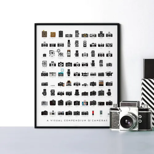 Miniatura 6 de Pop Chart Compendio visual de cámaras Póster artístico de 16 x 20 pulgadas Decoración de cámara para sala de estar y oficina Historia