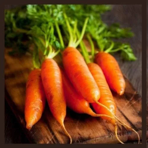 Semillas de zanahoria Little Finger | Semillas de zanahoria tradicionales y sin OMG | Más de 250 semillas de vegetales para plantar jardines