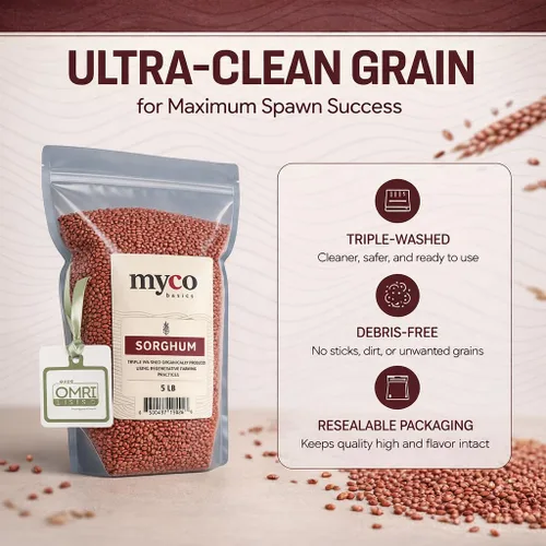 Miniatura 2 de Mycology Basics - Sorgo orgánico (2.0 libras)